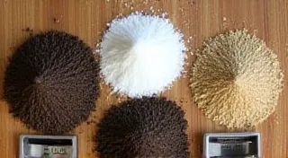 Soil Basics for Beginners: Understanding Potting Mixes & Amendments