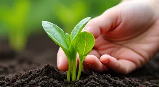 Plant First Aid: Quick Tips for Common Houseplant Emergencies