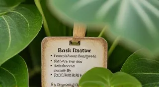 Understanding Plant Labels: Deciphering What They Mean